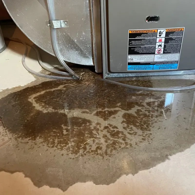 Pipe Burst and Leak Restoration in Cherryfield, ME