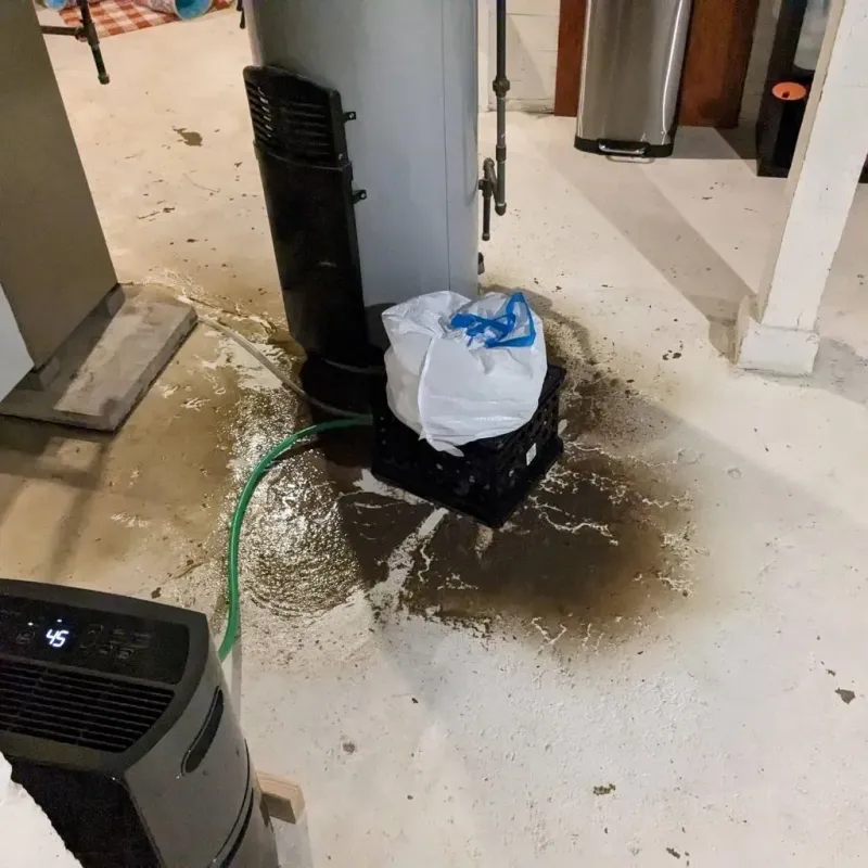 Sewage Backup Cleanup Service in Cherryfield, ME